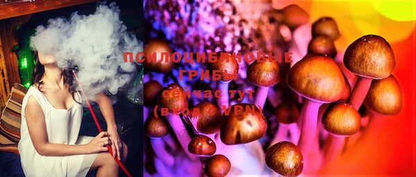 MESCALINE Баксан