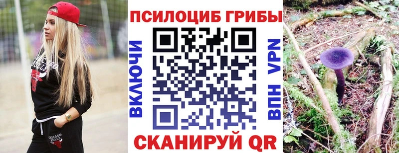 продажа наркотиков  Лебедянь  Псилоцибиновые грибы мухоморы 